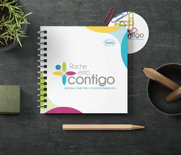 Kit de campaña de cultura